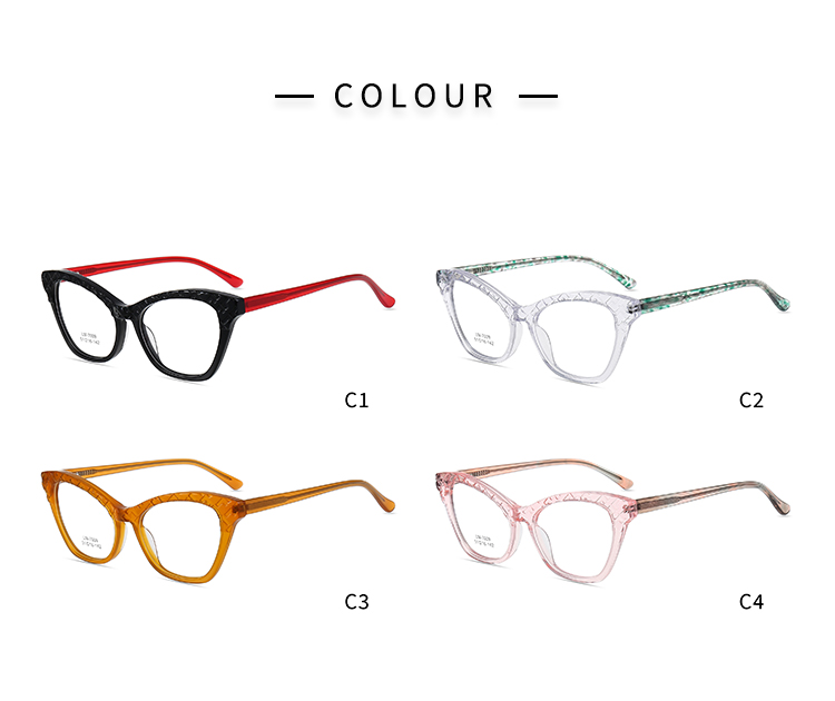 Marco &oacute;ptico - Color