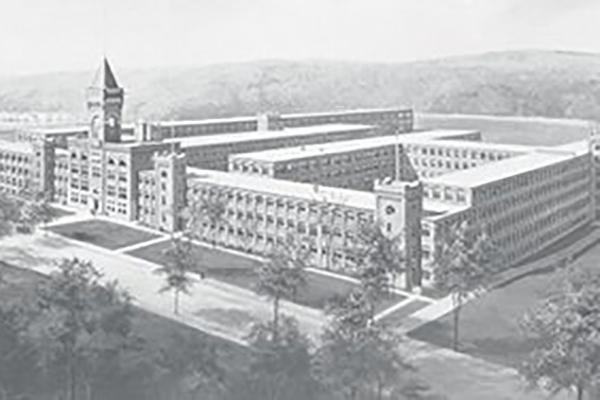 &oacute;ptica americana