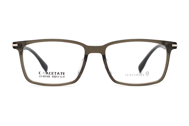 Monturas de gafas de acetato LevelNine 85188