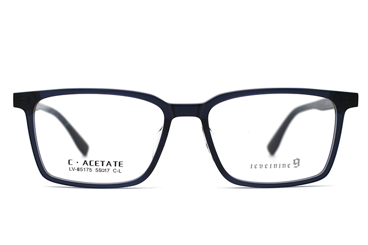 Monturas de gafas de acetato LevelNine 85175