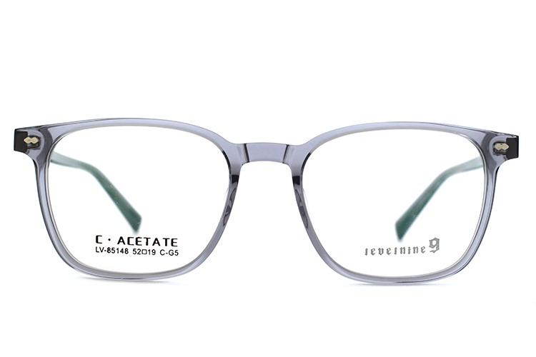 Monturas de gafas de acetato LevelNine 85148