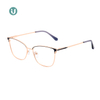 Venta al por mayor Marcos de gafas de metal WX21018