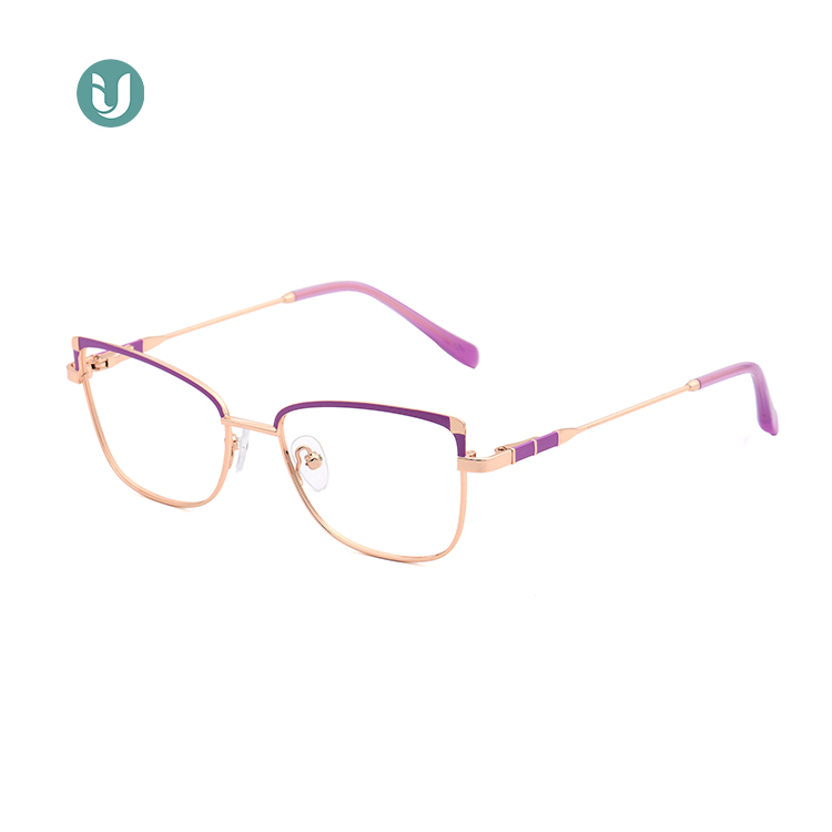 Venta al por mayor Marcos de gafas de metal WX21021