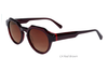Gafas de sol de acetato-BAF2068LS