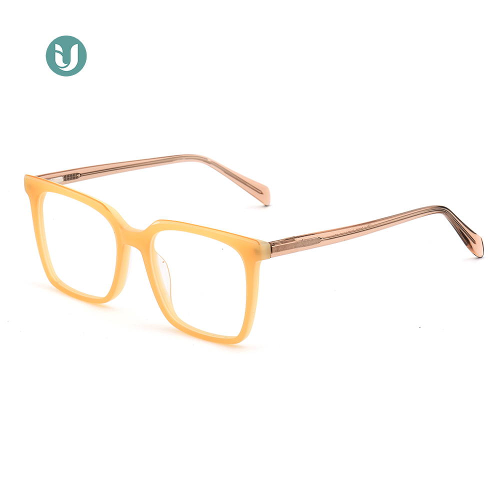 Monturas de gafas de acetato al por mayor WXA21079