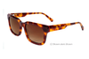 Gafas de sol de acetato-BAF2067LS