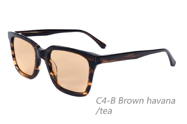Gafas de sol de acetato-BAF5004S