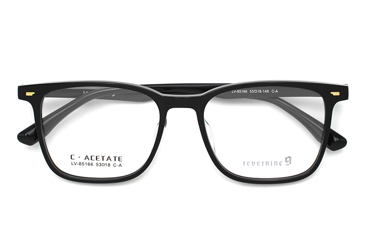 Monturas de gafas de acetato LevelNine 85166 (1) 