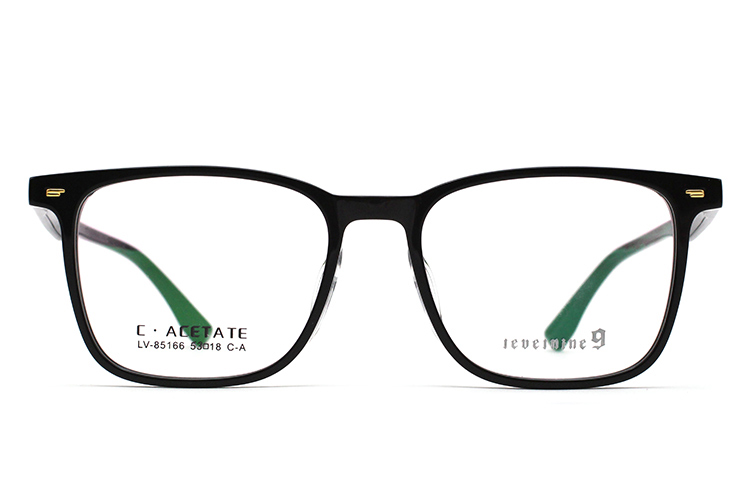 Monturas de gafas de acetato LevelNine 85166