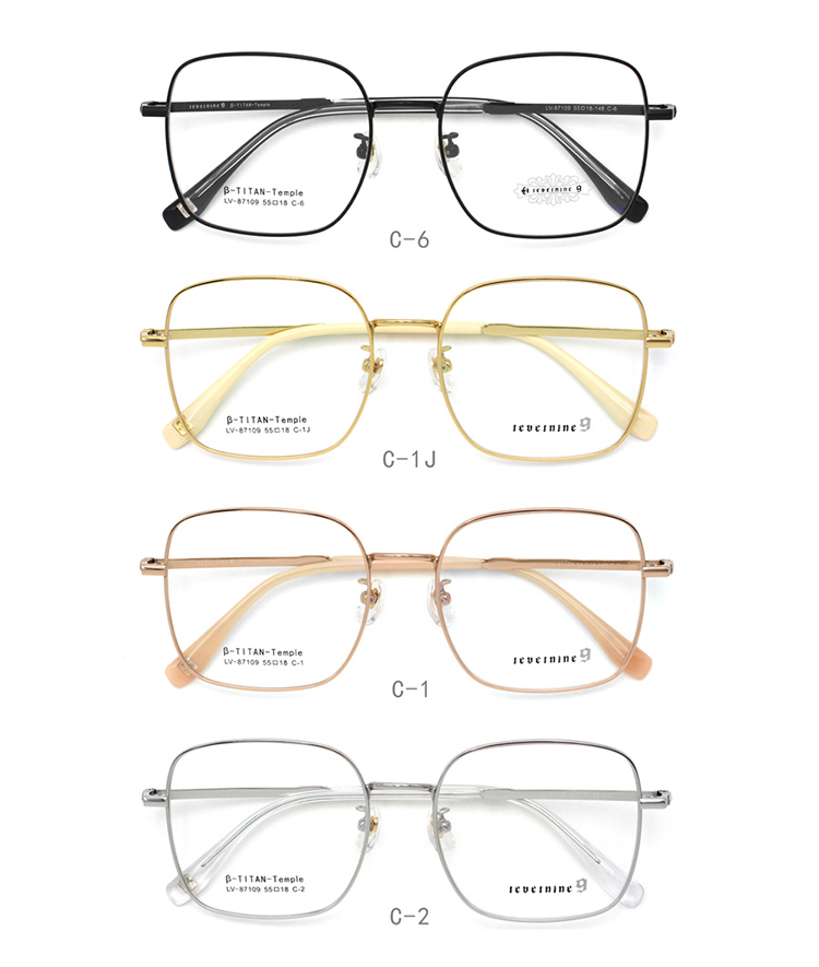 Montura de gafas Titanio 87109-01