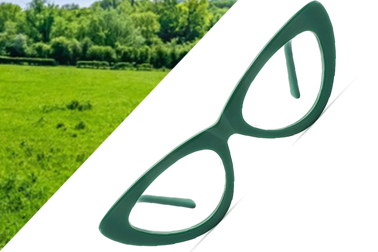 Monturas de gafas Prairie Greens - Modelo LT2017