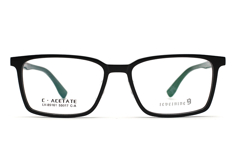 Monturas de gafas de acetato LevelNine 85161