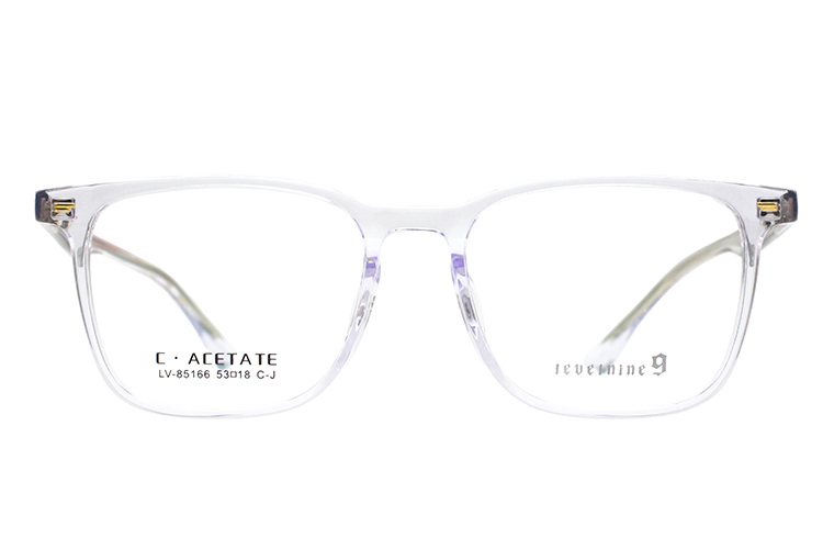 Monturas de gafas de acetato LevelNine 85166