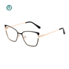 Venta al por mayor Marcos de gafas de metal WX21019