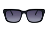 Gafas de sol de acetato-BAF2067LS