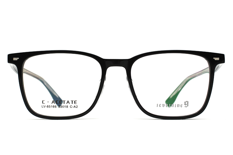 Monturas de gafas de acetato LevelNine 85166
