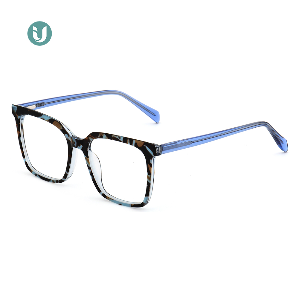 Monturas de gafas de acetato al por mayor WXA21079