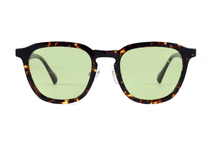 Gafas de sol de acetato-BAF5008PS