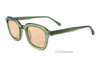 Gafas de sol de acetato-BAF5002S